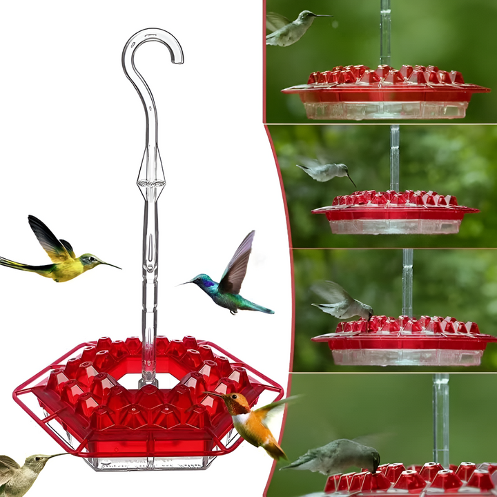 Muurahaiskestävä Hummingbird-ruokinta