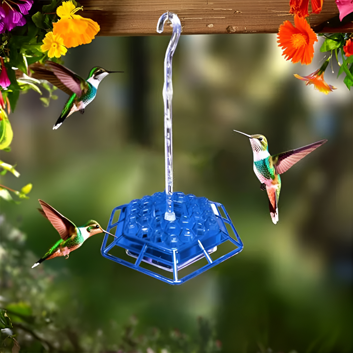 Muurahaiskestävä Hummingbird-ruokinta
