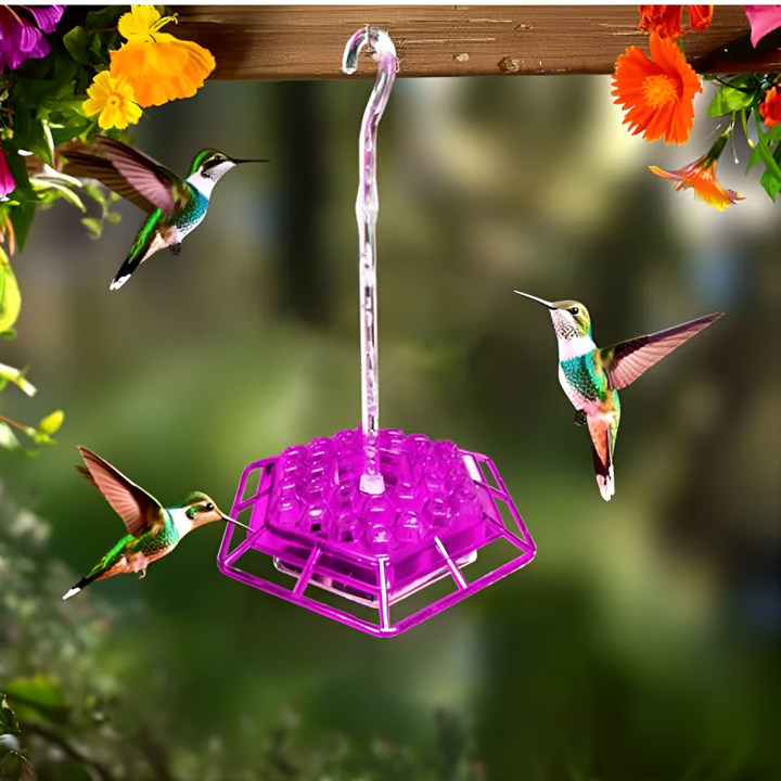 Muurahaiskestävä Hummingbird-ruokinta