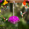 Muurahaiskestävä Hummingbird-ruokinta