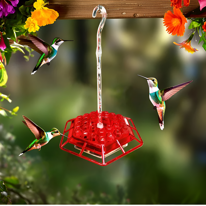 Muurahaiskestävä Hummingbird-ruokinta