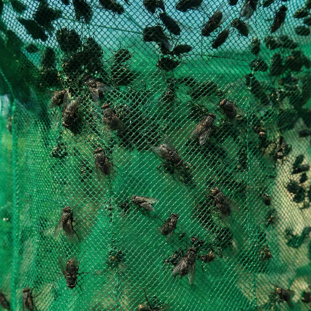 Flytenza - Large-Capacity Hanging Outdoor Fly Trap