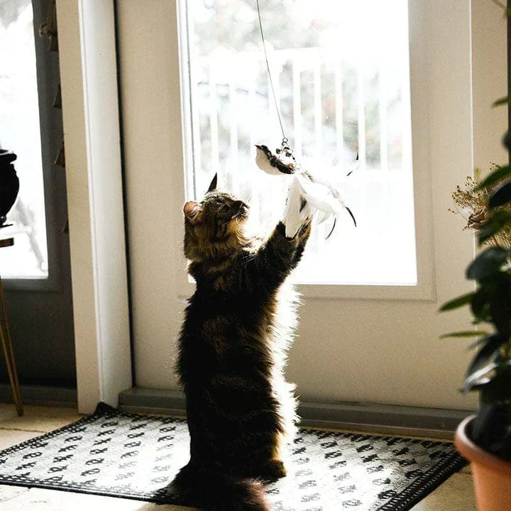 Interaktiivinen kissanlelu - FlutterFriend