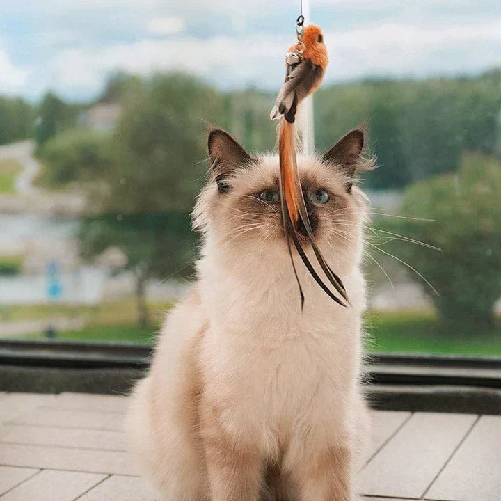Interaktiivinen kissanlelu - FlutterFriend