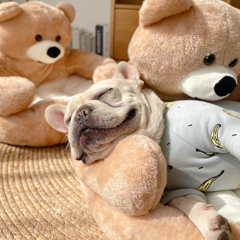 Säädettävä halikarhu – SnuggleBear