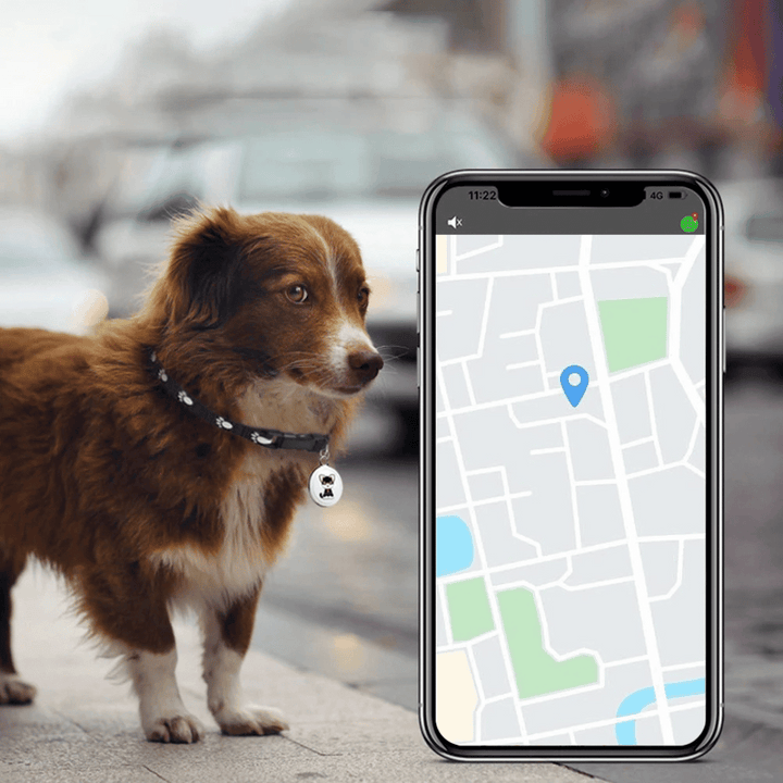 GPS-seurantalaite lemmikeille - koirille ja kissoille - Android ja iOS